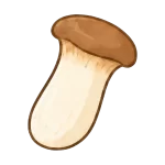 02.